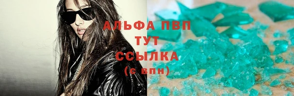 шишки Горняк