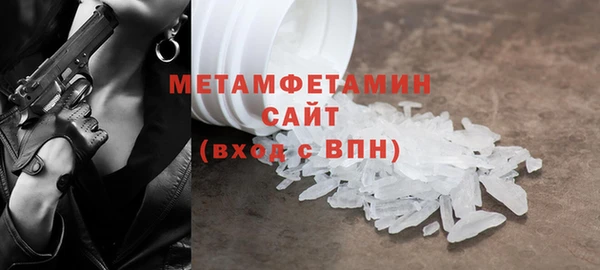 шишки Горняк