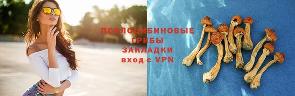 марки nbome Горнозаводск