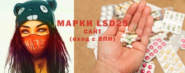 шишки Горняк