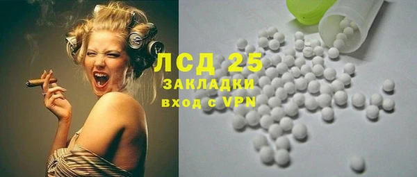 шишки Горняк