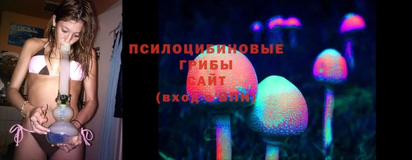 шишки Горняк