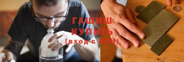 шишки Горняк
