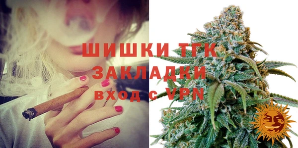 шишки Горняк