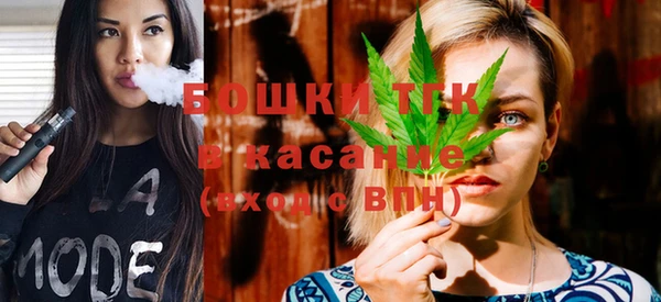 шишки Горняк