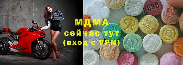 шишки Горняк