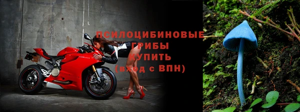 ECSTASY Горно-Алтайск