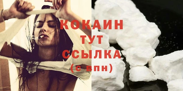 мдпв Михайлов